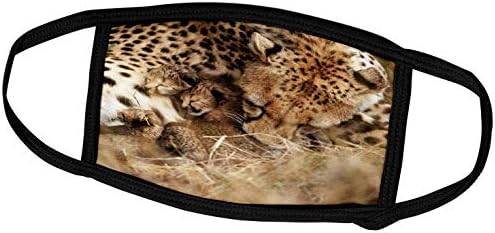 3drose Cheetah dotjerivanje jednodnevnih mladunaca. Maasai Mara Park Reserve. - Navlake Za Lice