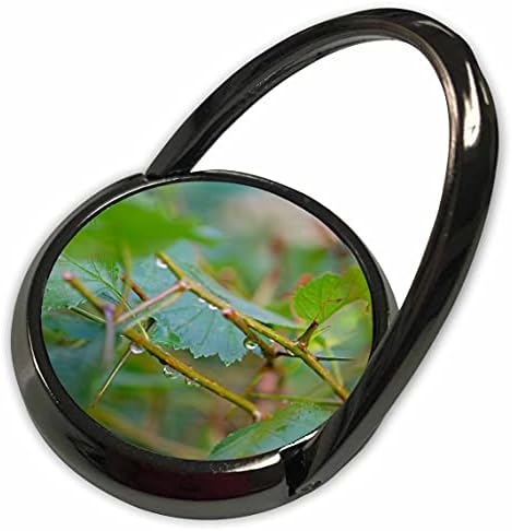 3drose kapi kišnice na zeleno lišće grmlja glog - telefon za prstenje