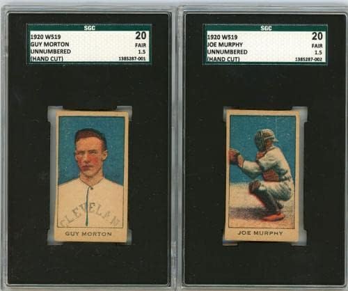 1920 W519 nebrojen 10 kartica SGC GRADEED kompletan set, uključujući babe ruth P1224 - bejzbol pločaste