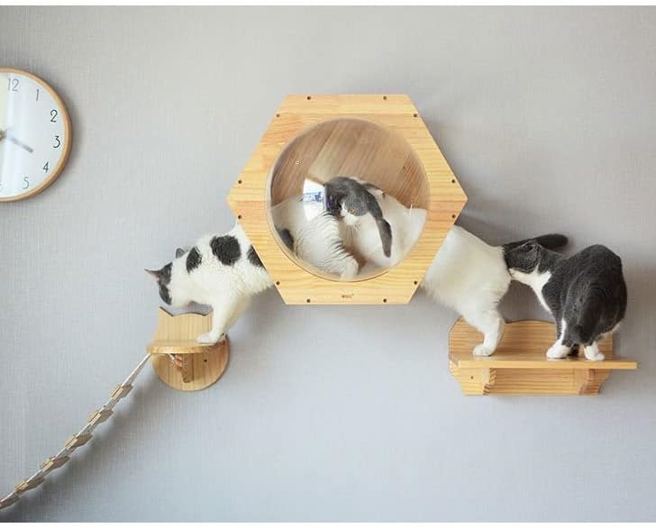 WALNUTA mačka igračka mačka merdevine za most penjački okvir Mačka kuća na drvetu drvena platforma za skakanje mačića uradi sam namještaj za kućne ljubimce kuća za igru na zidu