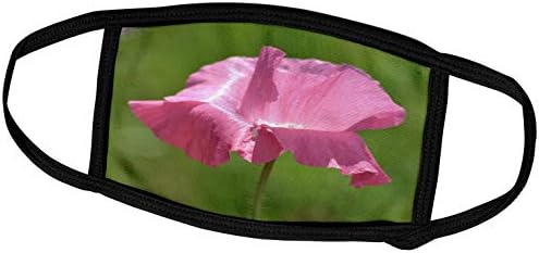 3drose PS Flowers-prelijepo cvijeće - ružičasti Islandski Mak-cvjetni Print - maske za lice