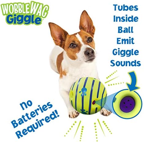 Wobble Mag Giggle lopta, interaktivna igračka za pse, zabava se zvuči kada se valja ili uzdrma i Benebone