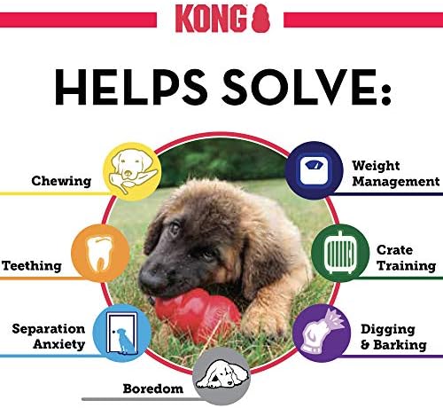 Kong - Puppy igračka prirodna gumena zuba - zabava za žvakanje, jurnjava i dohvaćanje - štenad