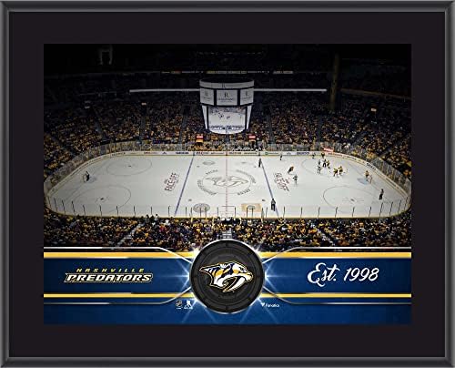 Nashville Predators 10 x 13 sublimirani tim Stadium Plaketa - NHL timski plakovi i kolaži