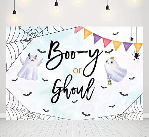 Halloween pol otkrivaju pozadine Boo-y ili Ghoul dječak ili djevojčica Baby tuš Party photo pozadina Spider