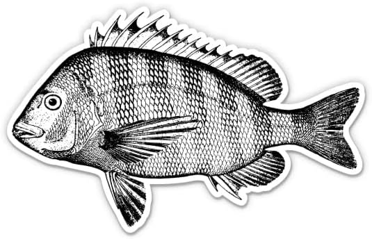 Riba s ovčom ribom vintage - 12 vinilna naljepnica vodootporna naljepnica