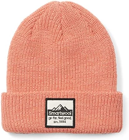 SmartWool Patch Beanie