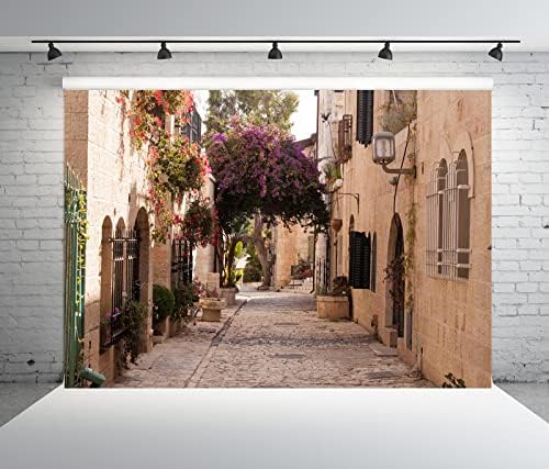 BELECO 20x10ft tkanina Jerusalem Town Street pozadina Kaldrmisana ulica drevno selo stari kameni zid kuće
