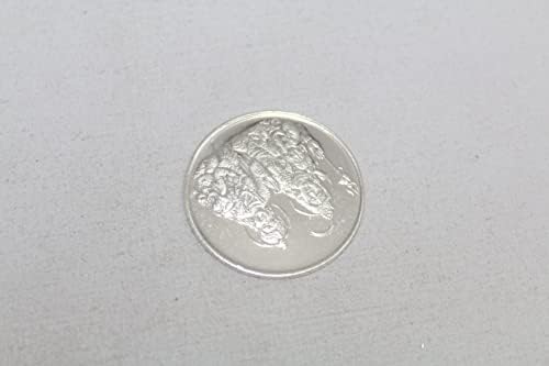 Rajasthan Gems Silver Fine 999 Coin 10 gram Lord Shiva Porodica Parvati Ganesha Kartikeya A446.