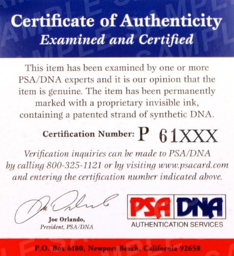 Dan Henderson potpisao zvanične StrikeForce MMA borbene rukavice PSA / DNK UFC UFC rukavice sa autogramom